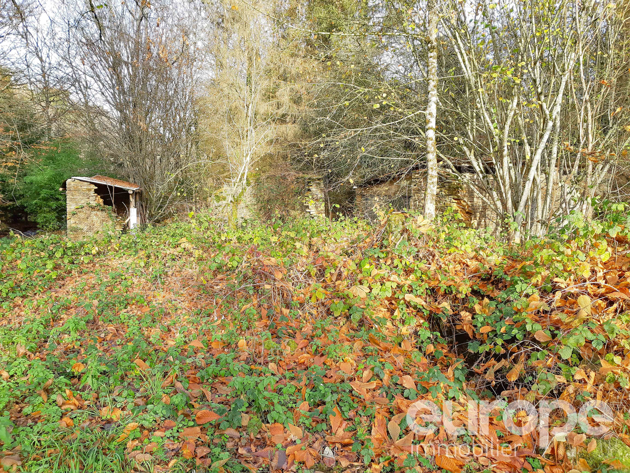 vente Terrain nonconstructible de 02ha Europe Immobilier