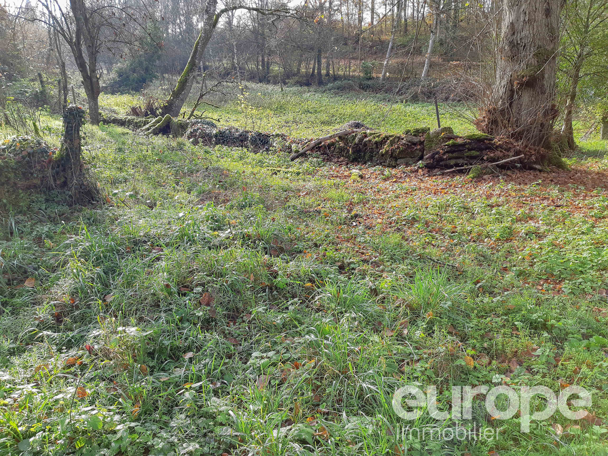 vente Terrain nonconstructible de 02ha Europe Immobilier